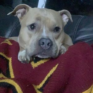 Meet your Posher, Jake